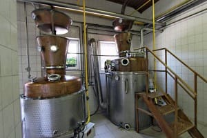 palinka-dist