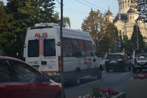 mirobus alis (2)
