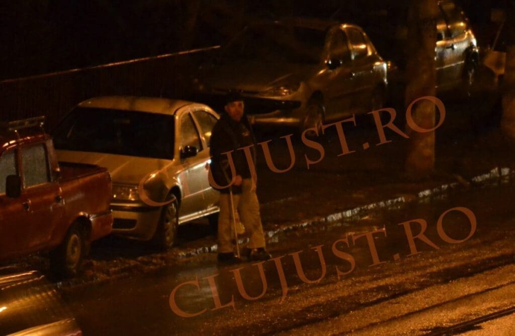 Carp Dando în 2014 pe bulevardul Primăverii din Cluj