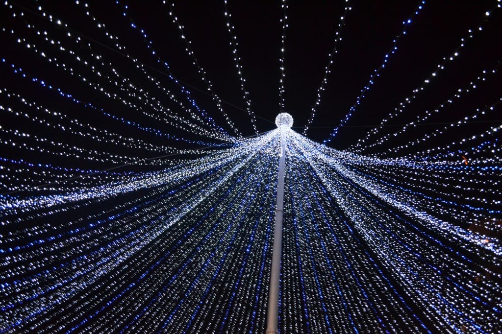 luminite sarbatori cluj 2014 (19)