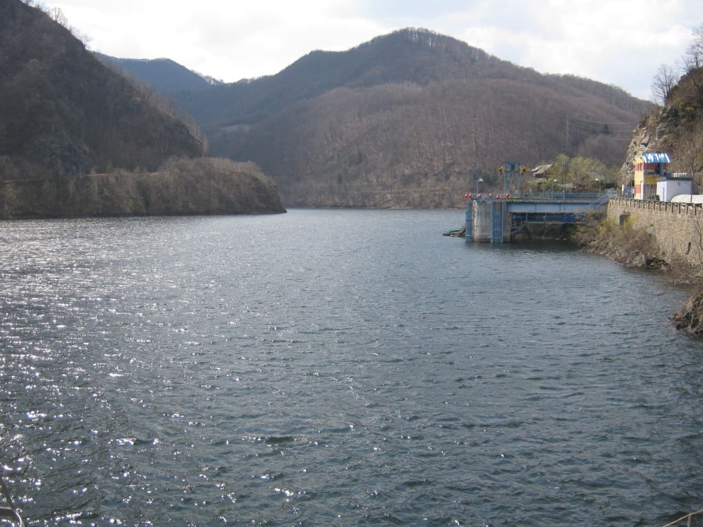 tarnita (1)