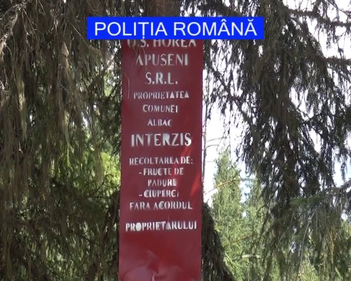 politia amenzi actiune fructe de padure (3)