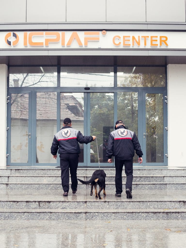 international business security (3)