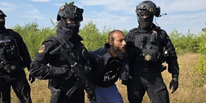 Deținutul evadat a fost prins pe un teren viran de lângă Baia Mare